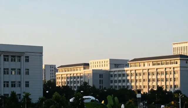 贸易场景中公司信息查询的常见问题及处理方向